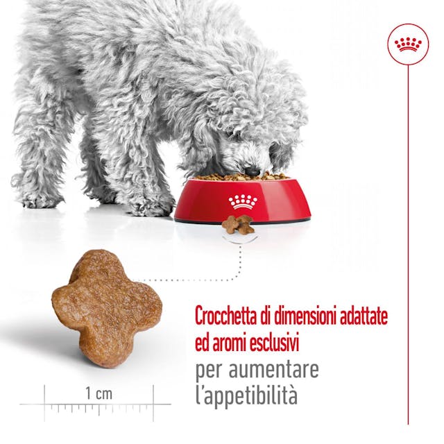 2x2kg Royal Canin Mini Adult 8+ - Crocchette per Cani 2x2kg Royal Canin Mini Adult 8+ - Crocchette per Cani